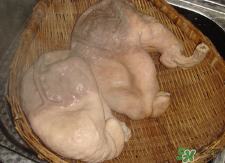 豬大腸怎么清洗？豬大腸怎么去臭味？