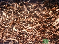 筍干怎么泡發嫩?筍干的做法大全介紹