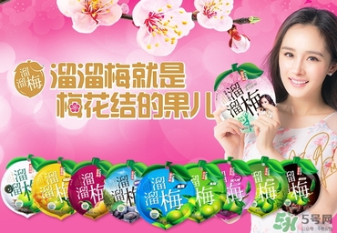 溜溜梅是梅花結的果嗎？溜溜梅的功效作用