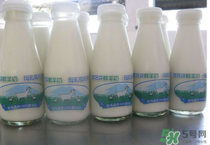 鮮羊奶可以直接喝嗎？鮮羊奶怎么喝最好？