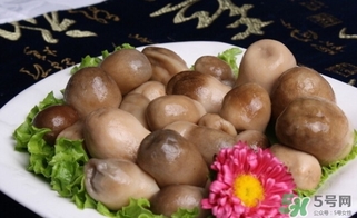 草菇的營養價值 草菇的功效與作用
