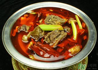 狗肉不能和什么一起吃？狗肉和什么相克？