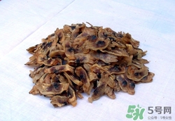 蟶干是什么?蟶干的營養價值和功效