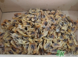 蟶干是什么?蟶干的營養價值和功效