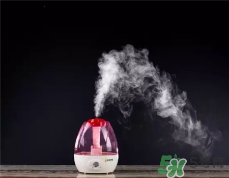 蒸臉器可以當加濕器用嗎?蒸臉器和加濕器有何區別?