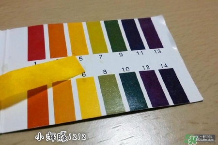 賽貝格哪里買？賽貝格哪里有專柜？