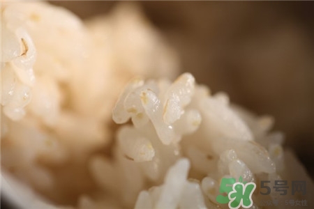 胚芽米的營養價值 胚芽米的功效與作用