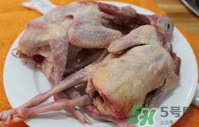 鴿子肉好吃嗎?鴿子肉的營養價值及功效