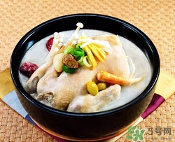 鴿子湯和雞湯哪個更有營養?鴿子湯和雞湯哪個更補