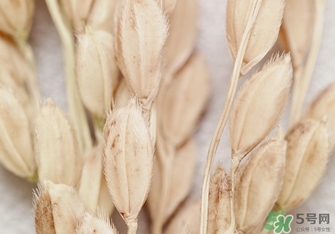 韓律適合什么膚質(zhì)？韓律適合敏感肌膚嗎？