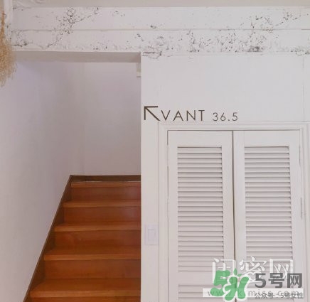 vant氣墊粉底霜怎么樣？vant36.5粉霜粉膏好用嗎？