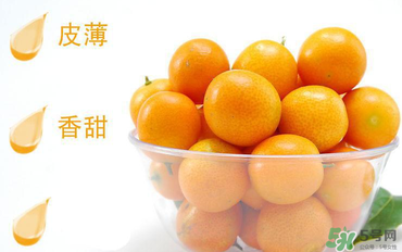 金桔可以帶皮吃嗎？金桔皮能吃嗎？