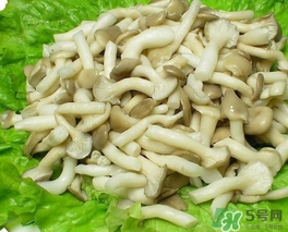 秀珍菇的營養價值 秀珍菇的功效作用