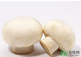 口菇變黑還能吃嗎？口菇的營養(yǎng)價(jià)值