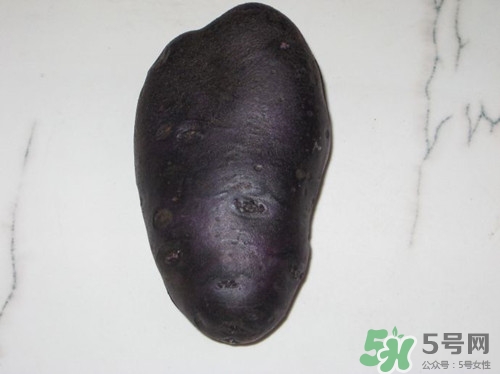 黑土豆是轉基因嗎?黑土豆怎么做好吃
