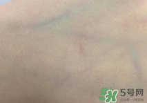 謎尚布朗熊小黃鴨區別_謎尚布朗熊和莎莉鴨的區別