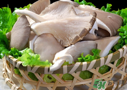 蘑菇可以放冰箱嗎？蘑菇放冰箱長毛了能吃嘛？