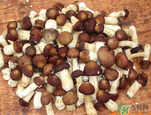 草菇可以放冰箱嗎？草菇放冰箱還能吃嗎？