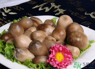 草菇可以放冰箱嗎？草菇放冰箱還能吃嗎？