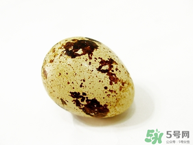 鵪鶉蛋不能和什么一起吃？鵪鶉蛋不能與什么同食？