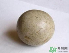 羊寶是什么？羊寶為什么這么貴？