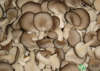 吃平菇有什么好處？平菇怎么做好吃？