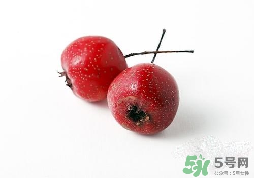 孕婦可以吃山楂嗎？孕婦吃山楂好嗎？