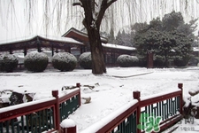 下雪天適合吃什么？下雪天吃什么食物好？