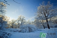 下雪天會打雷嗎？下雪天為什么會大雷？