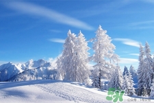 下雪天會打雷嗎？下雪天為什么會大雷？