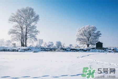 下雪天會打雷嗎？下雪天為什么會大雷？