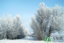 下雪天會打雷嗎？下雪天為什么會大雷？