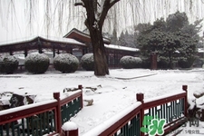 下雪高鐵會停運嗎？下雪天會影響高鐵嗎？