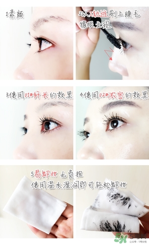 菲詩小鋪大肚子睫毛膏多少錢？菲詩小鋪大肚子睫毛膏專柜價