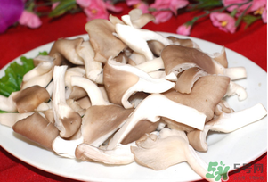 孕婦可以吃平菇嗎？孕婦吃平菇有什么好處？