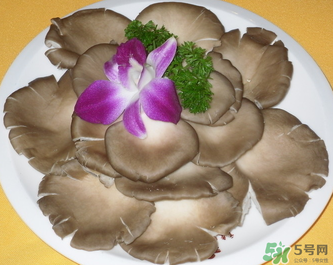 平菇是發(fā)物嗎？平菇是不是發(fā)物？