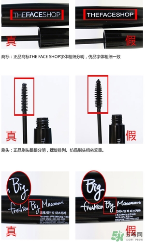 菲詩小鋪大肚子睫毛膏多少錢？菲詩小鋪大肚子睫毛膏專柜價
