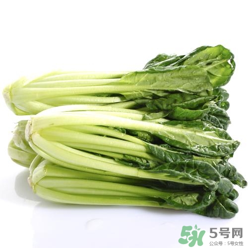烏塌菜的營養價值 烏塌菜的功效與作用