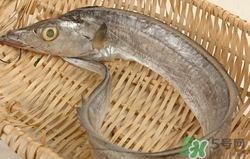 帶魚發黃還能吃嗎?帶魚發黃是怎么回事