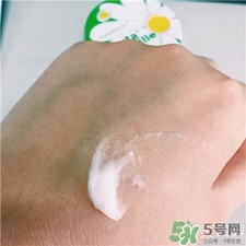 德國小甘菊護手霜多少錢 官網價格說明