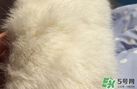 樂町羽絨服質量怎么樣?樂町羽絨服保暖性好嗎?