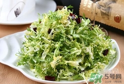 苦菊可以減肥嗎？苦菊怎么吃可以減肥？