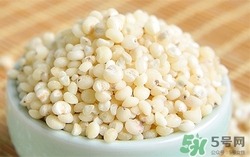 吃高粱米有什么好處?高粱米的營養價值