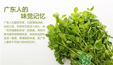 西洋菜的營養價值 西洋菜的功效與作用