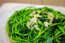 西洋菜的營養價值 西洋菜的功效與作用