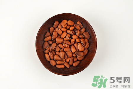 松子發苦還能吃嗎?松子發苦是怎么回事