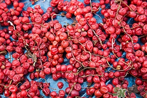 五味子茶韓國怎么喝？五味子茶的五種味道代表什么？
