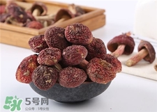 紅菇的營養價值 紅菇的功效與作用