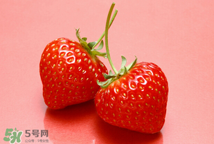 冬天有草莓嗎？冬天的草莓能吃嗎？