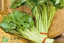 冬天可以吃空心菜嗎？冬天排毒多吃空心菜